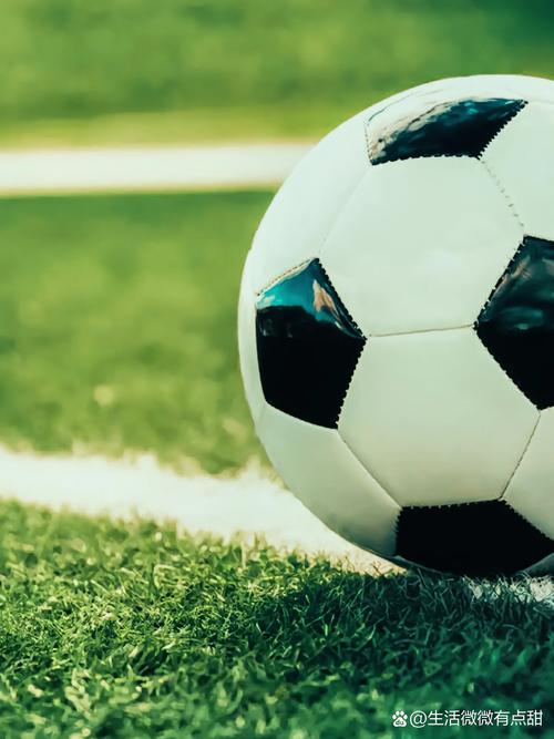 数据分析界面展示